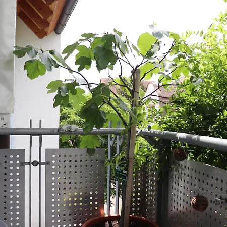 Appartement Schwarzwald *